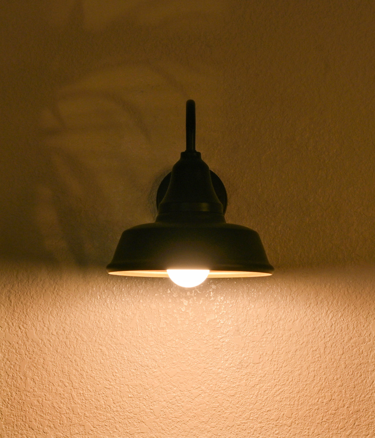 Matte Elegance Outdoor Wall Lantern